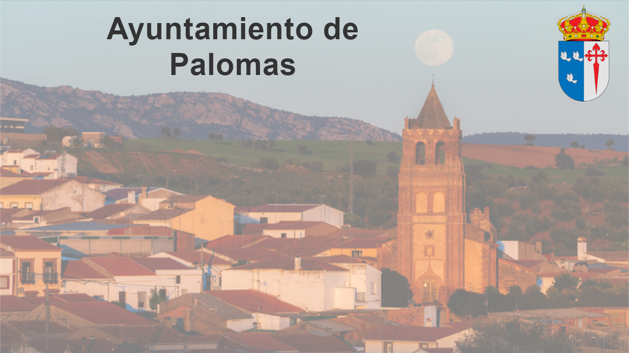 Imagen de portada de la institución Ayuntamiento de Palomas